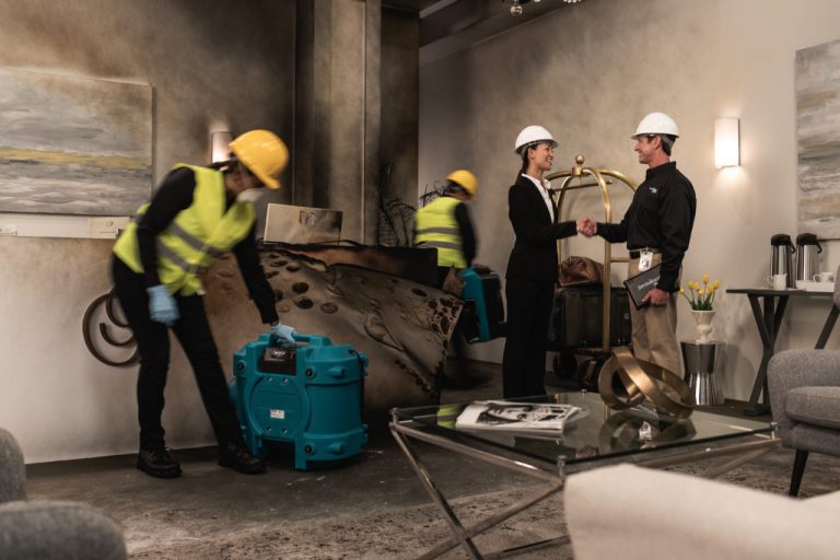 Limpieza de Incendios